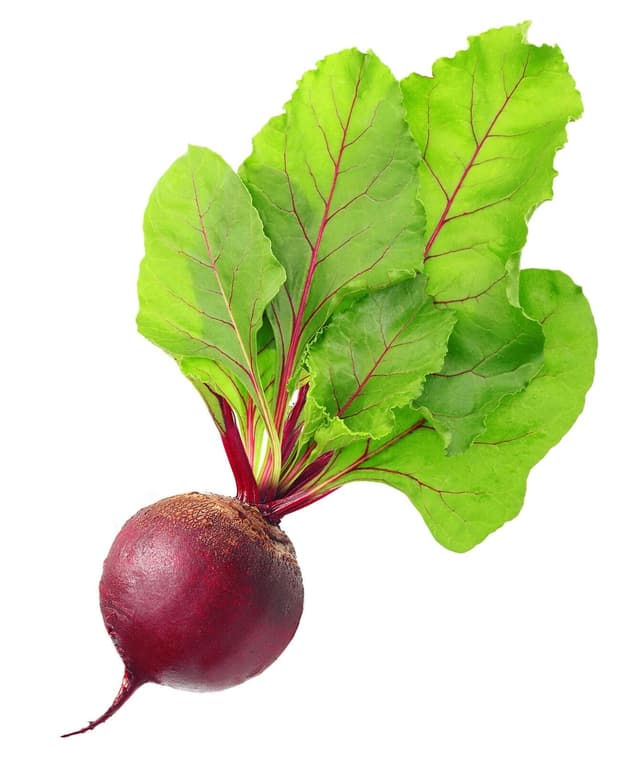  Beets