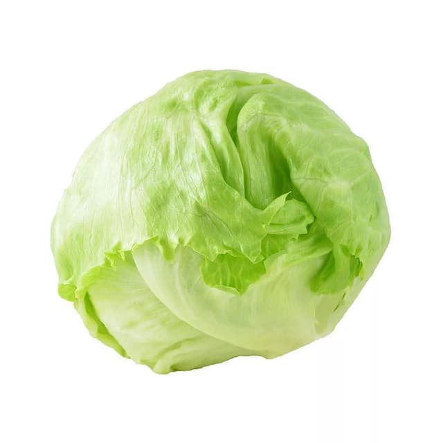  Lettuce